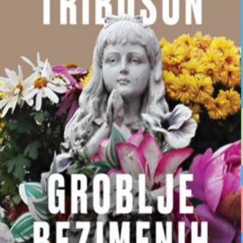 Groblje bezimenih / Goran Tribuson