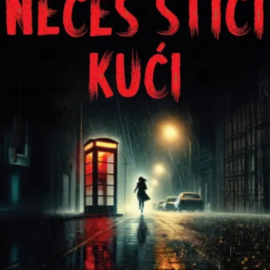 Nećeš stići kući / Sebastian Fitzek Nećeš stići kući / Sebastian Fitzek