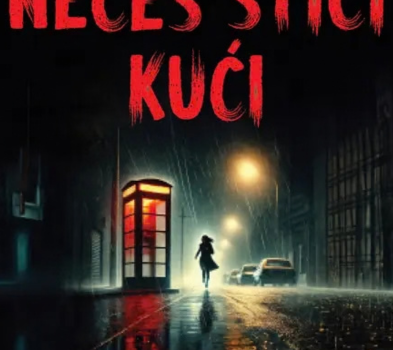 Nećeš stići kući / Sebastian Fitzek